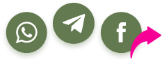 insignia